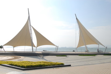 米雅（口服酪酸梭菌活菌剂）是益生菌吗？