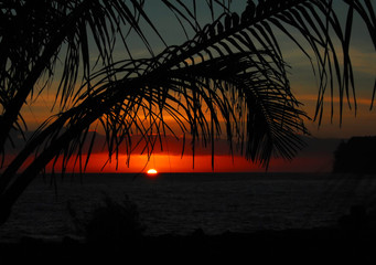 中班社会活动《独特的我》教案