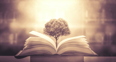 关于市公安局与区公安分局、县公安局的隶属关系