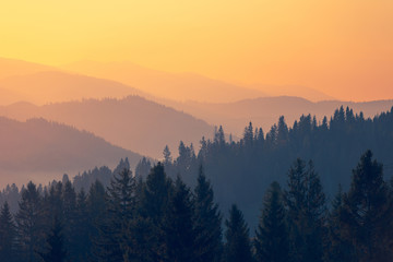 广州长隆大马戏适合带小孩子去吗多大的孩子