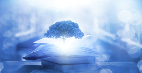 学校助残日主题活动方案