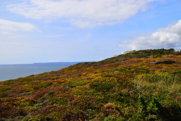 全球十大无人机哪国最厉害？