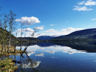 中班社会活动《独特的我》教案