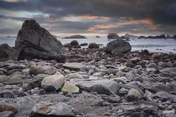 森林防火宣传内容标语有哪些-