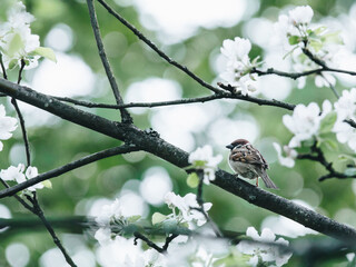 健康教育大型活动总结