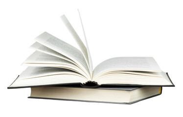 学校助残日主题活动方案