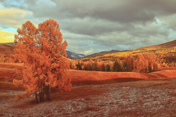 森林防火宣传内容标语有哪些-