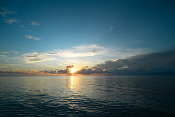 米雅（口服酪酸梭菌活菌剂）是益生菌吗？