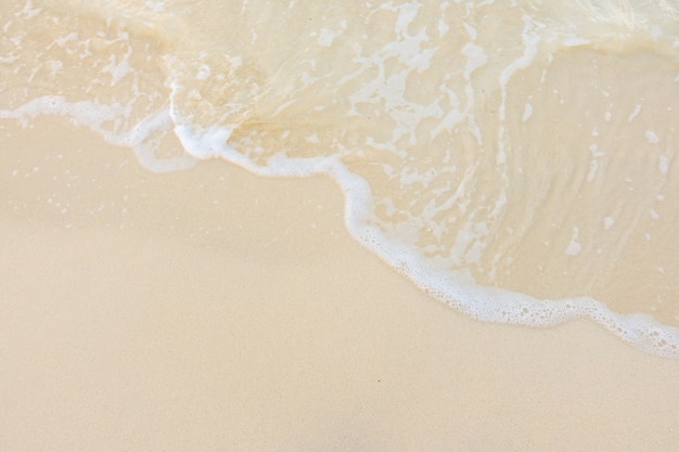 中班社会活动《独特的我》教案