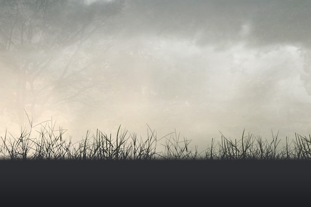 中班社会活动《独特的我》教案