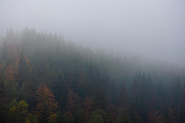 健康教育大型活动总结