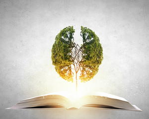 中班社会活动《独特的我》教案