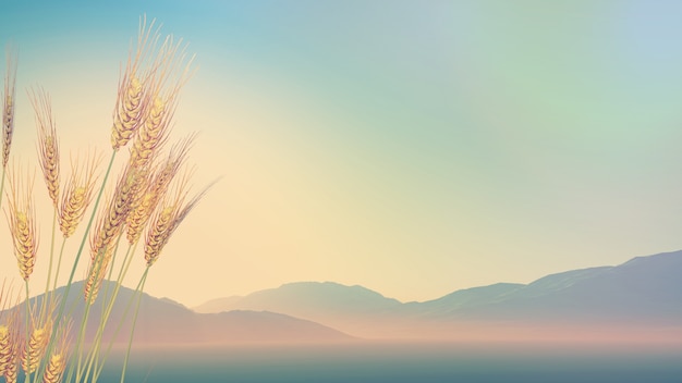 中班社会活动《独特的我》教案