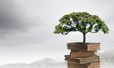 健康教育大型活动总结