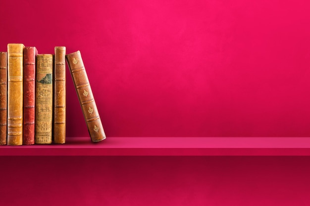 广州长隆大马戏适合带小孩子去吗多大的孩子