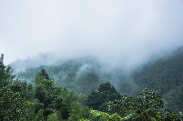 健康教育大型活动总结